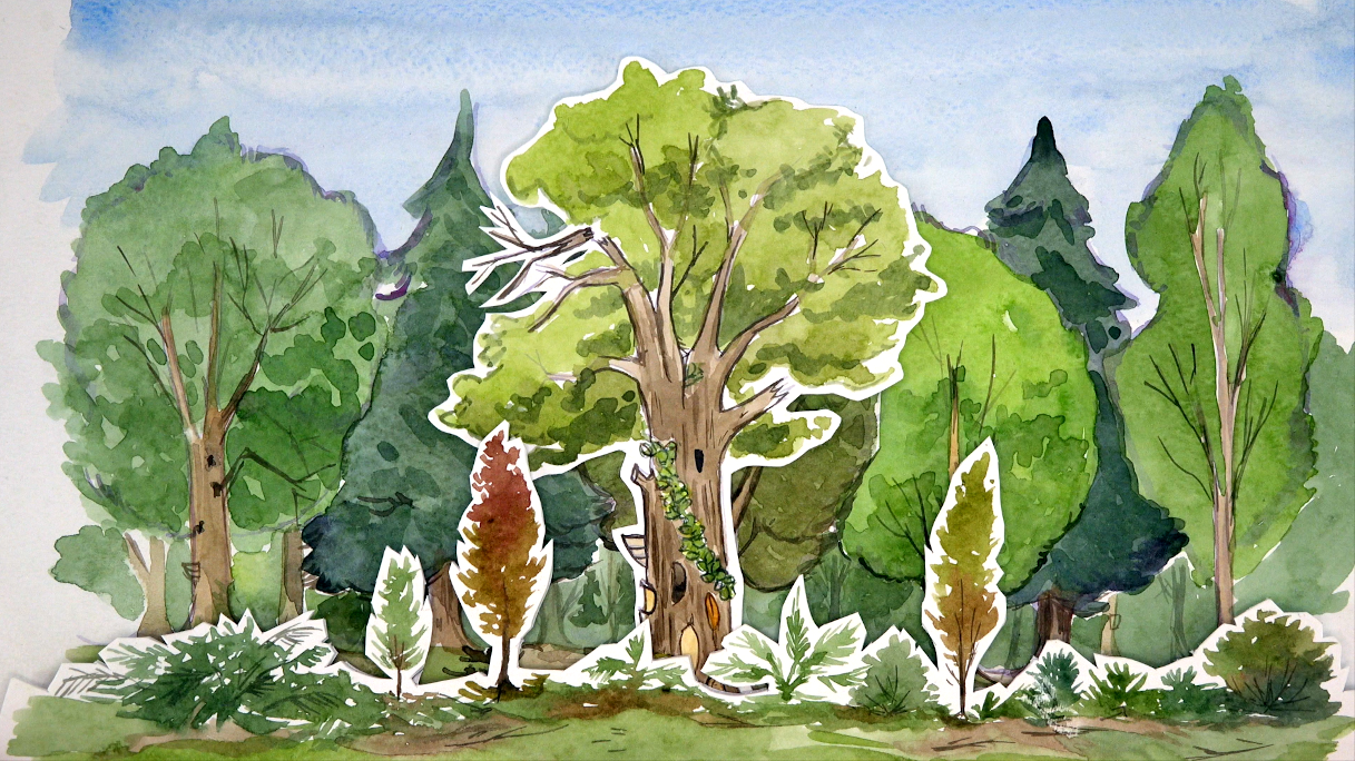 Forêts dessins