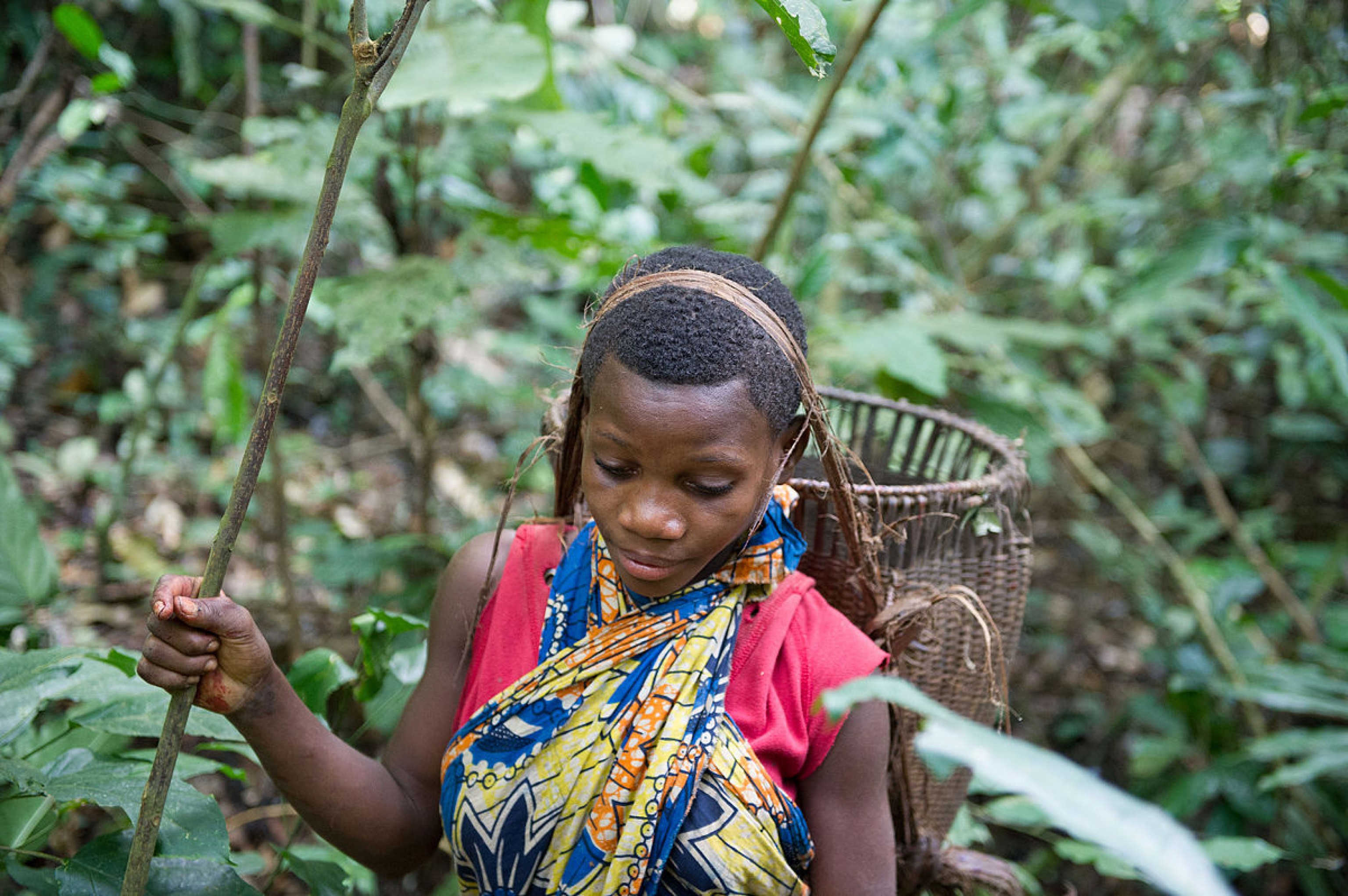 Comment le peuple autochtone BaAka sauvent les forêts en République du
