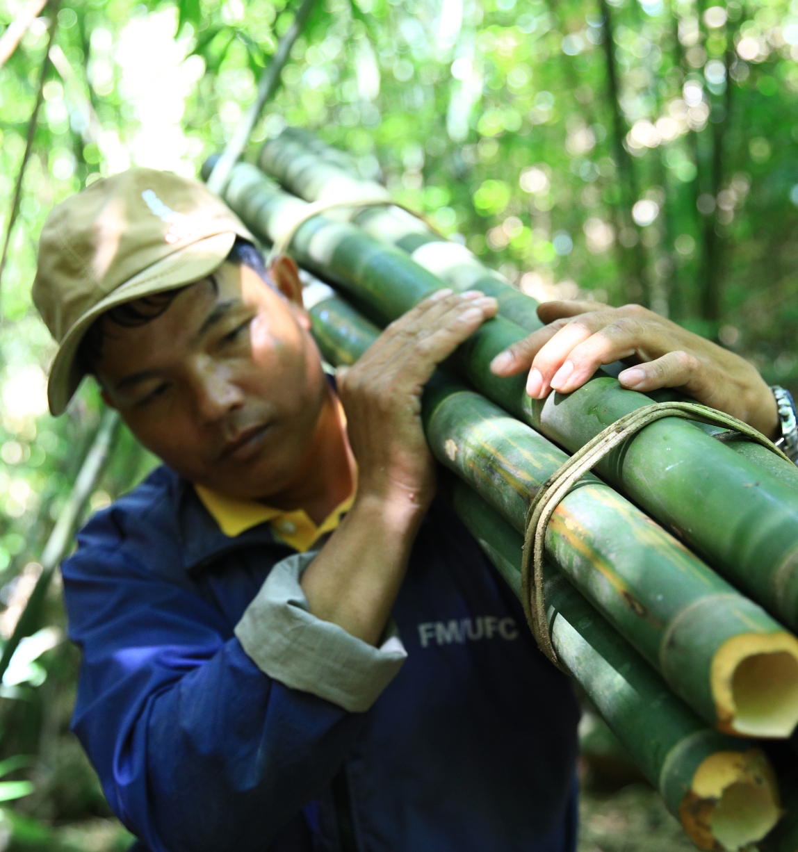 © FSC / Phan Tan Lam