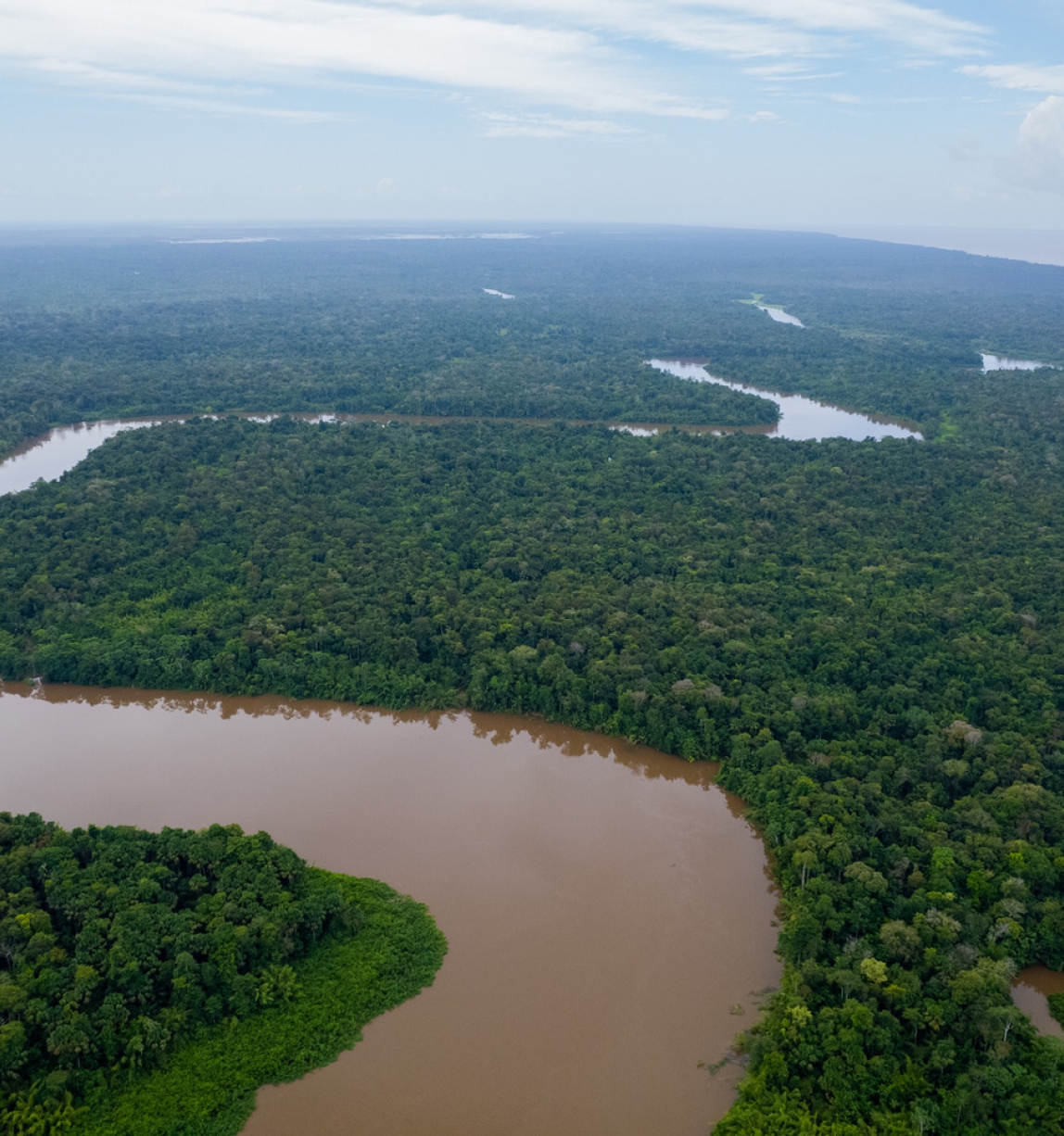 © FSC Brasil / Célio Cavalcante Filho