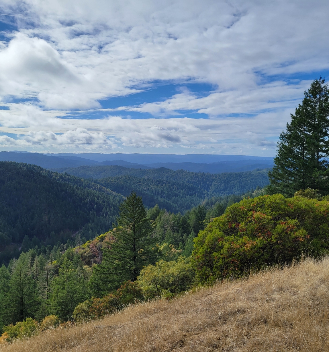 © FSC Canada - Monika Patel