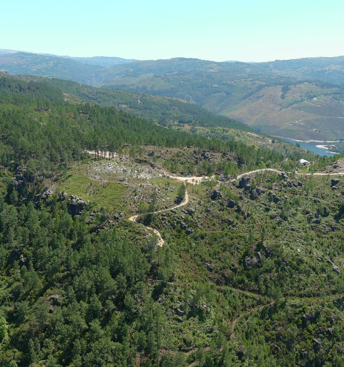 © FSC Portugal / Gerês Baldios