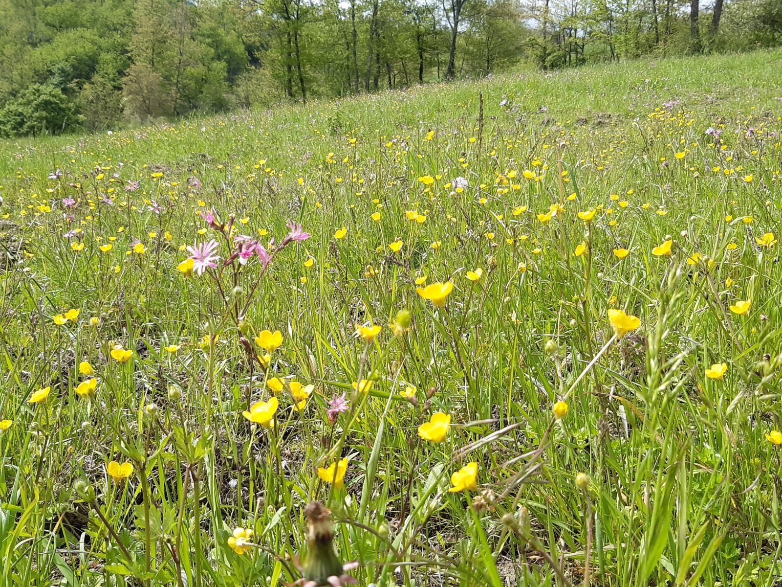 © Parco Nazionale Appennino Tosco-Emiliano