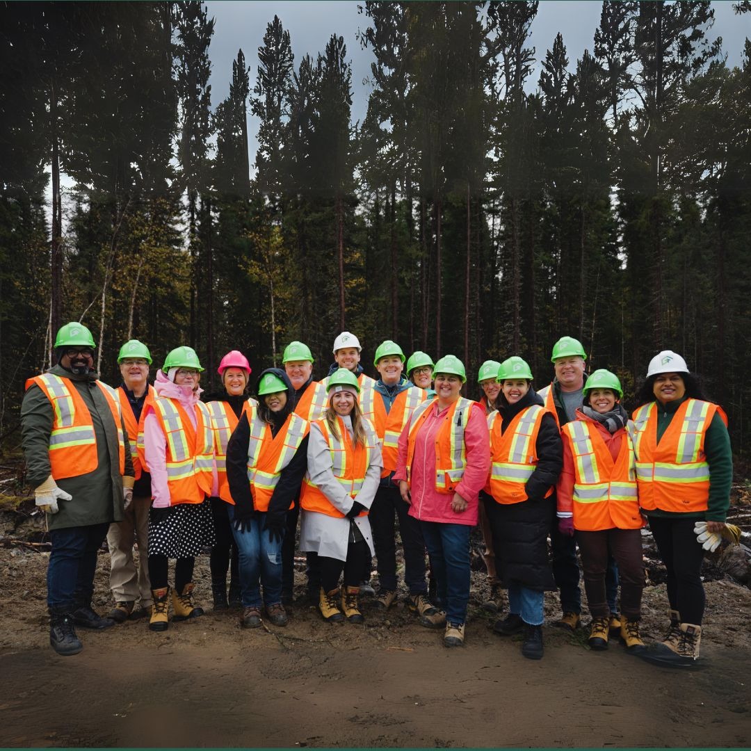 Photo: Forest tour hosted by FSC with builders and architects in 2024.