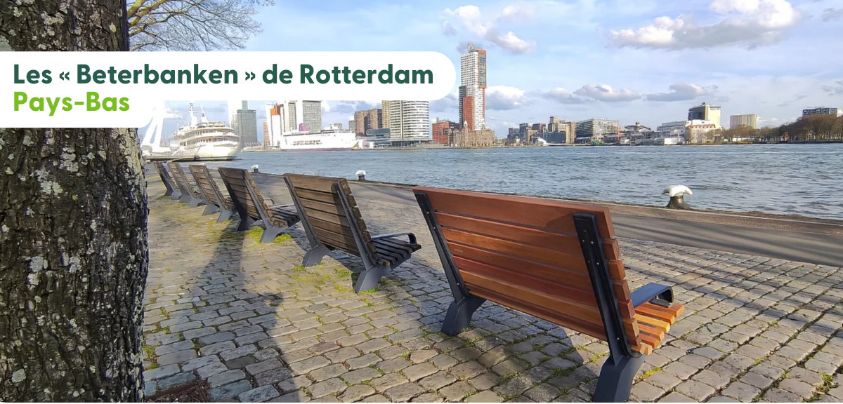 Rotterdam