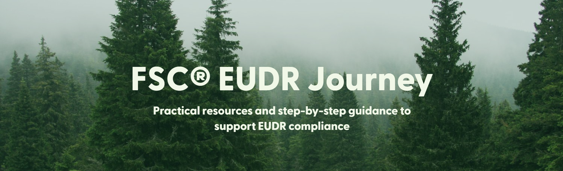 FSC EUDR Journey