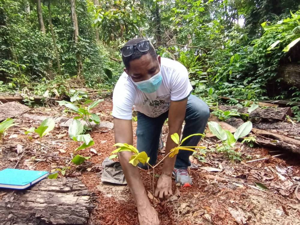 FSC Bassin du Congo