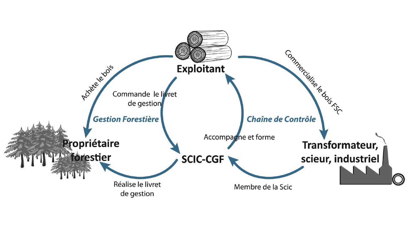 Fonctionnement SCIC CGF