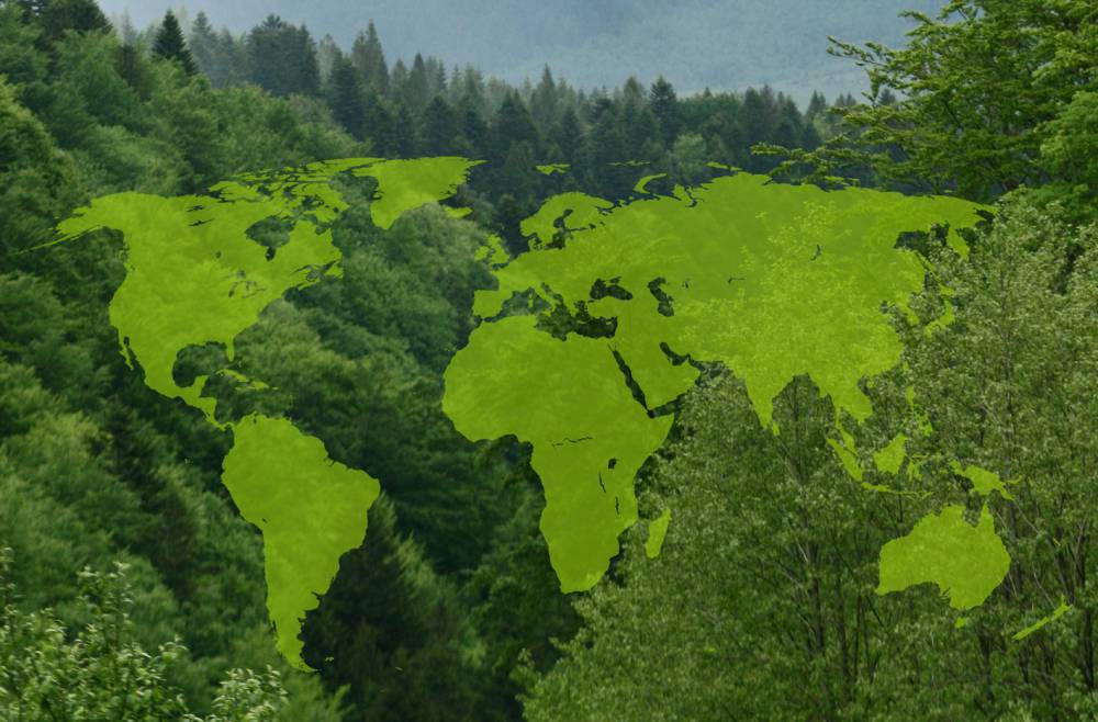 Carte forêts monde