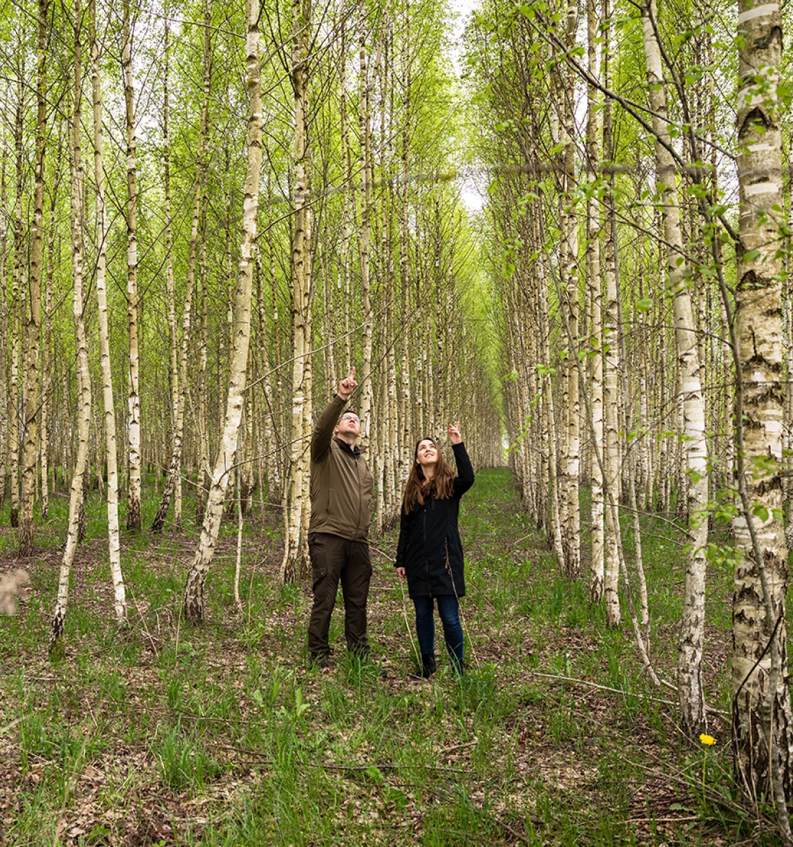 Personnes qui se promènent entre les arbres