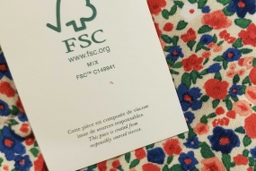Viscose