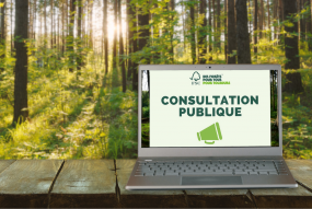 Consultation FSC