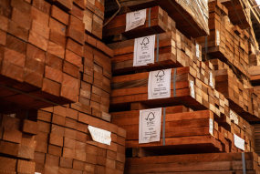 FSC Africa_Brazza,Rep of Congo_Forest management in FSC-certified forest unit CIB_ (c)FSC Africa_Jonathan Perugia