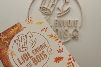 Lidl envoie du bois