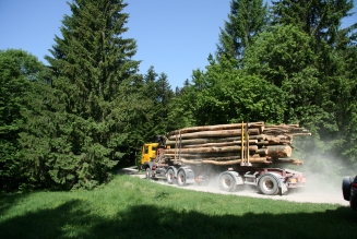 FSC