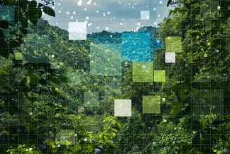 Digital
