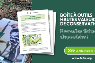 Nouvelles fiches OG