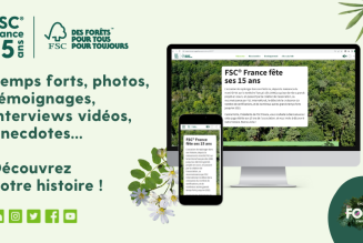 Site 15 ans FSC France