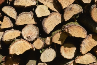 wood