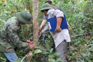 Vietnam