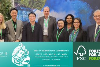 COP15