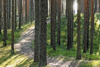 (c) Iewa Berzina