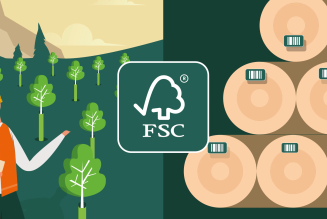 Vidéo FSC