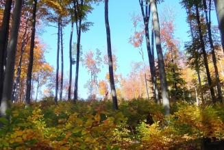 Slovaquie