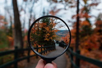 Loupe