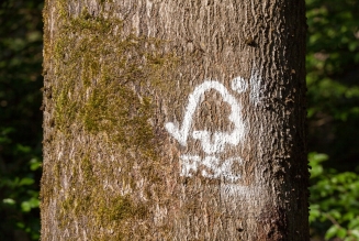 FSC
