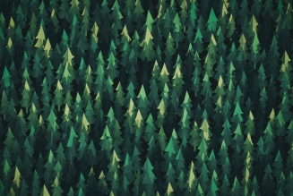 Forêts web