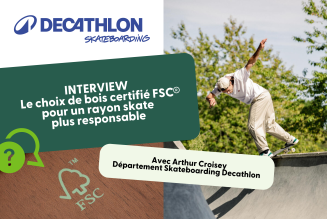 Skateur