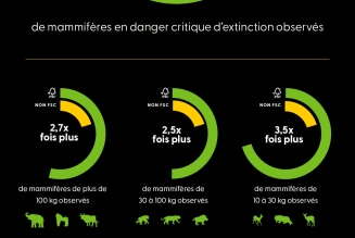 Infographie Nature