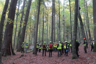 Réunion experts forestiers FSC en Roumanie