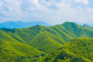 © FSC Chine / Feiyue Liu