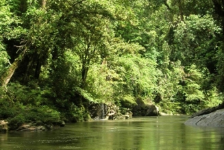 Forêt et eau