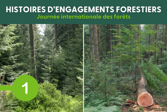 Histoires d'engagements forestiers