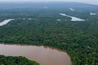 © FSC Brasil / Célio Cavalcante Filho