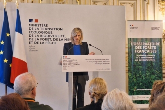 Lancement de la nouvelle version de l'Observatoire des forêts françaises