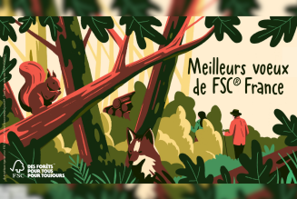 Vignette article site internet Voeux 2026