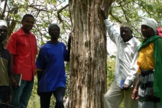 , l’Initiative Mpingo pour la Conservation et le Développement (IMCD)