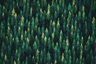 FSC_newsentry_1604068283_image.jpg