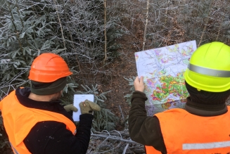 Auditor and forester in Czech forest