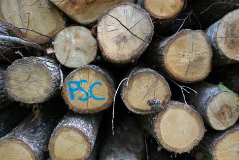 Bois FSC