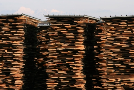 Planches de bois