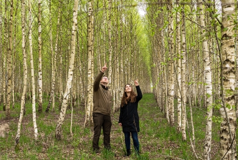 Personnes qui se promènent entre les arbres