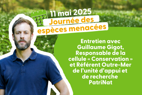 Entretien avec Guillaume Gigot, Responsable de la cellule « Conservation » et Référent Outre-Mer de l’unité d’appui et  de recherche PatriNat