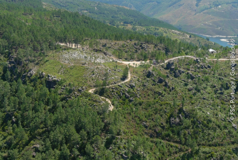 © FSC Portugal / Gerês Baldios