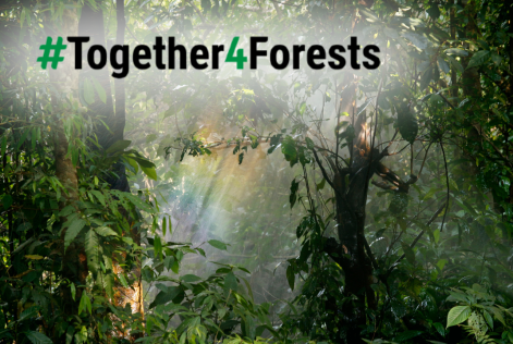 Together4Forests