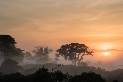 © FSC / Nyani Quarmyne